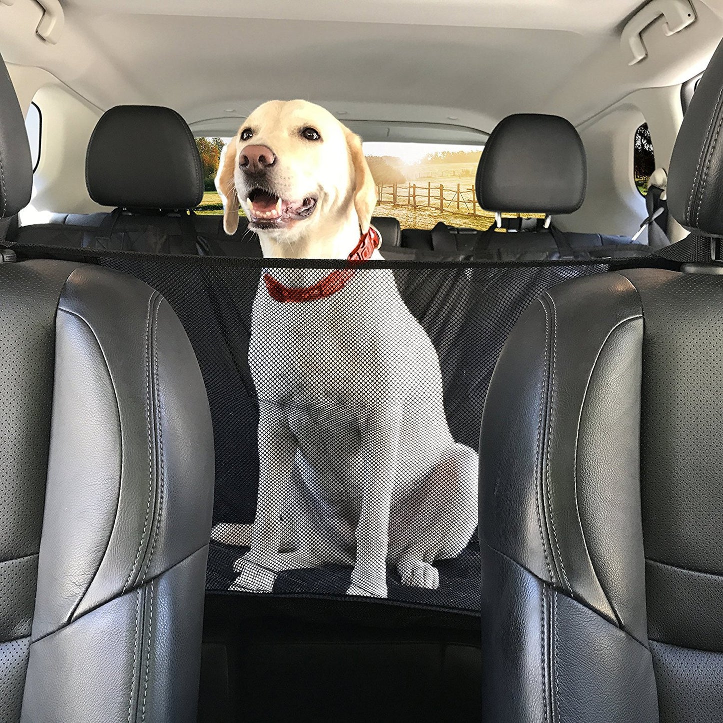 Pet Seat Cover for Dogs Car Back Seat Anti Dirty Waterproof Pet Hammock Mat