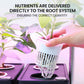 PLANTCRAFT 20 Pod Indoor Hydroponic Growing System, with Water Level Window