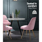 Artiss Set of 2 Dining Chairs Retro Chair Cafe Kitchen Modern Iron Legs Velvet Pink