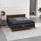Cloud Zone Double Layer Euro Top Pocket Spring Mattress Plush Medium Firm 34cm - Queen
