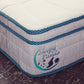 Sleepy Panda Mattress 5 Zone Pocket Spring EuroTop Medium Firm 30cm Thickness - Single - White  Grey  Blue