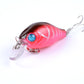 5x 5.5cm Popper Crank Bait Fishing Lure Lures Surface Tackle Saltwater