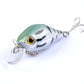 5x 5.5cm Popper Crank Bait Fishing Lure Lures Surface Tackle Saltwater