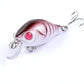 5x 5.5cm Popper Crank Bait Fishing Lure Lures Surface Tackle Saltwater