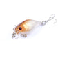 5x 4.3cm Popper Crank Bait Fishing Lure Lures Surface Tackle Saltwater