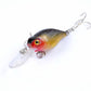 6x 6cm Popper Crank Bait Fishing Lure Lures Surface Tackle Saltwater