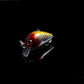 5x 3cm Popper Crank Bait Fishing Lure Lures Surface Tackle Saltwater