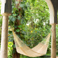 Mayan Legacy Single Size Cotton Mexican Hammock in Cream Colour
